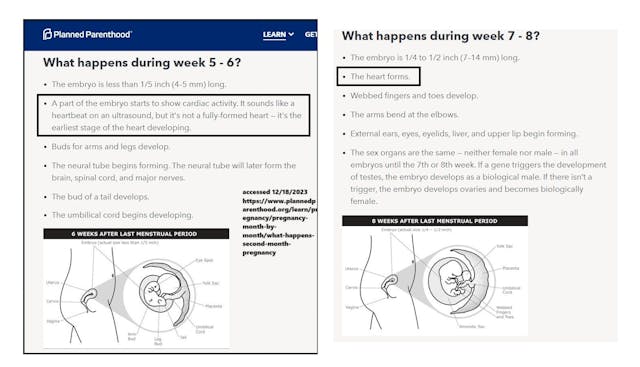 Planned Parenthood fetal development 5-6 weeks fetal heartbeat 12182023 Planned Parenthood fetal development 5-6 weeks fetal heartbeat 12182023