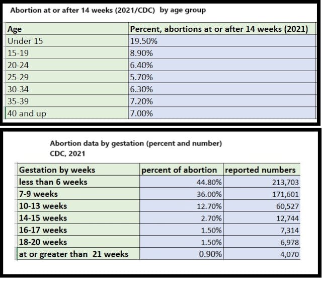 Later abortions, CDC 2021