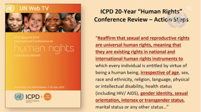 Slide from Sharon Slater’s UN presentation. EXPOSED: United Nations ‘human rights’ agreement promotes all manner of sex, ‘irrespective of age’ image