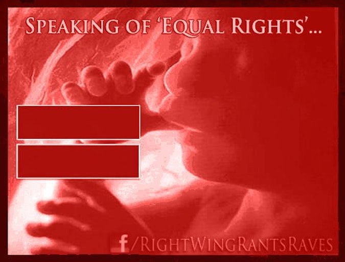 Speaking of Equal Rights Red baby