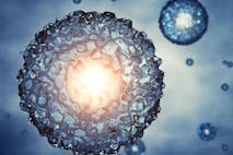 science, embryos
