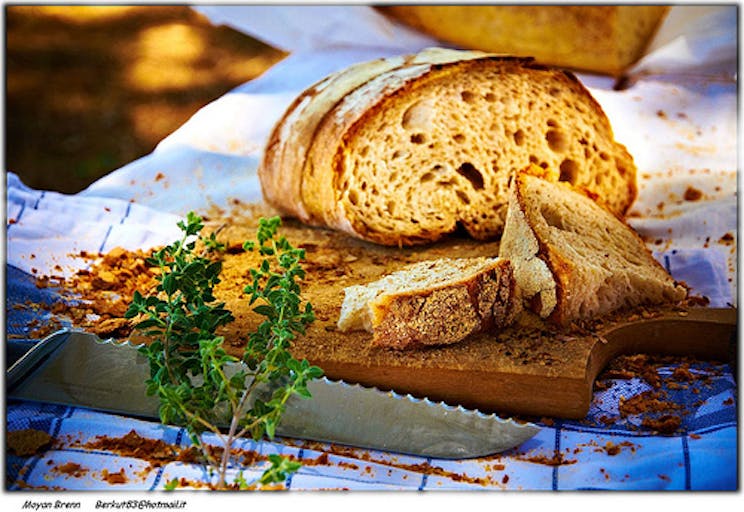 bread