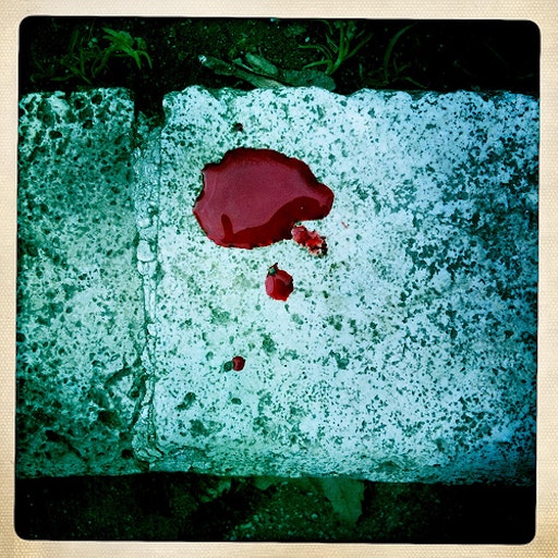 raining blood