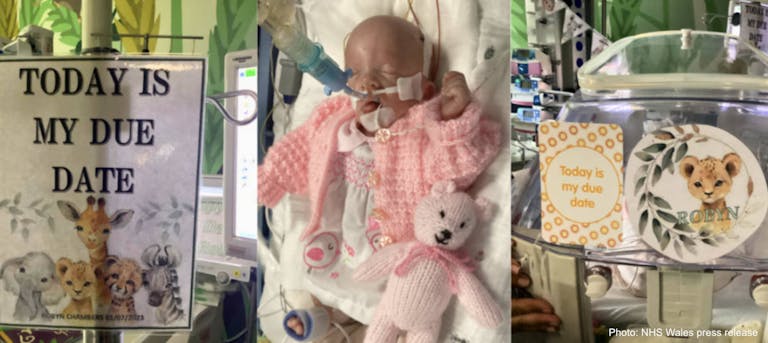 robyn preemie wales