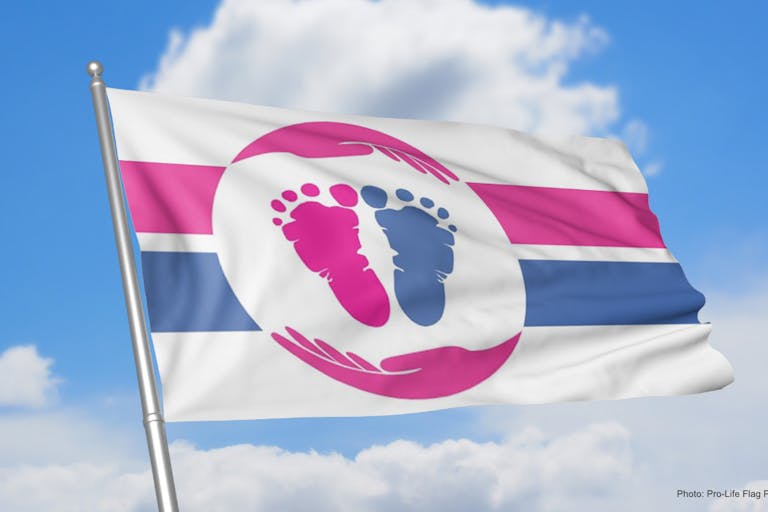pro-life flag