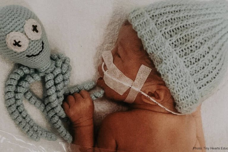 octopus teddy preemie