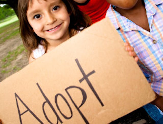 adopt