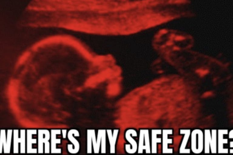 safe zone graphic right to life nz