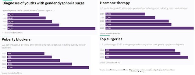 Adolescent youth: puberty blockers, hormone therapy, and top surgery GAC care (Graphs Per Reuters)