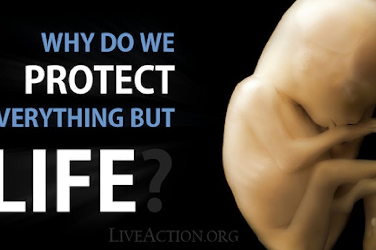 protect life