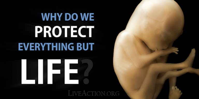 protect life