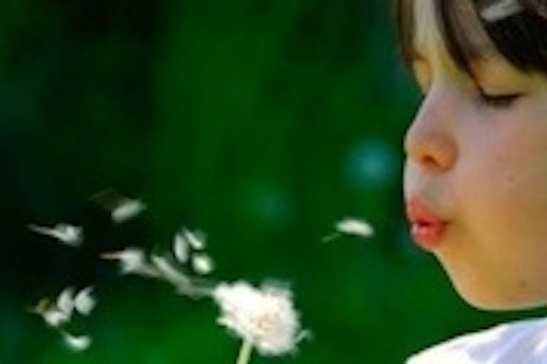 cultivating-weeds2 sweet child