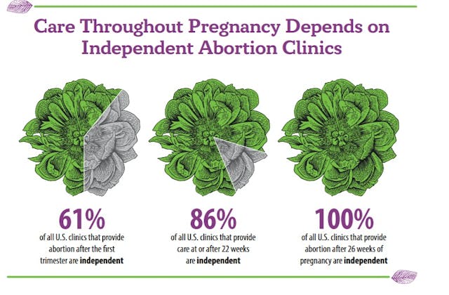 Independent Abortion Clinics commit majority of later abortions (ACN 2023 AR) Independent Abortion Clinics commit majority of later abortions (ACN 2023 AR)