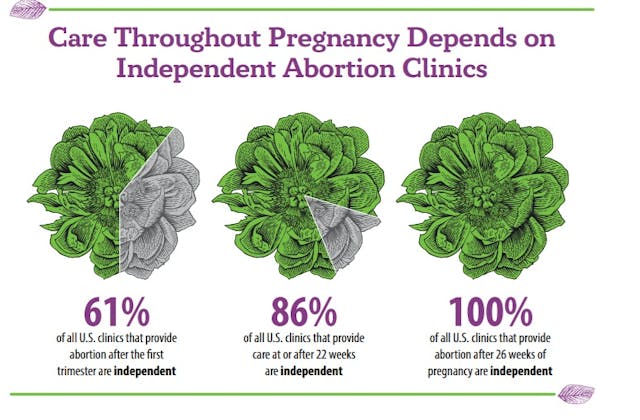 Independent Abortion Clinics commit majority of later abortions (ACN 2023 AR)
