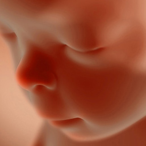 20-weeks-pregnant-baby