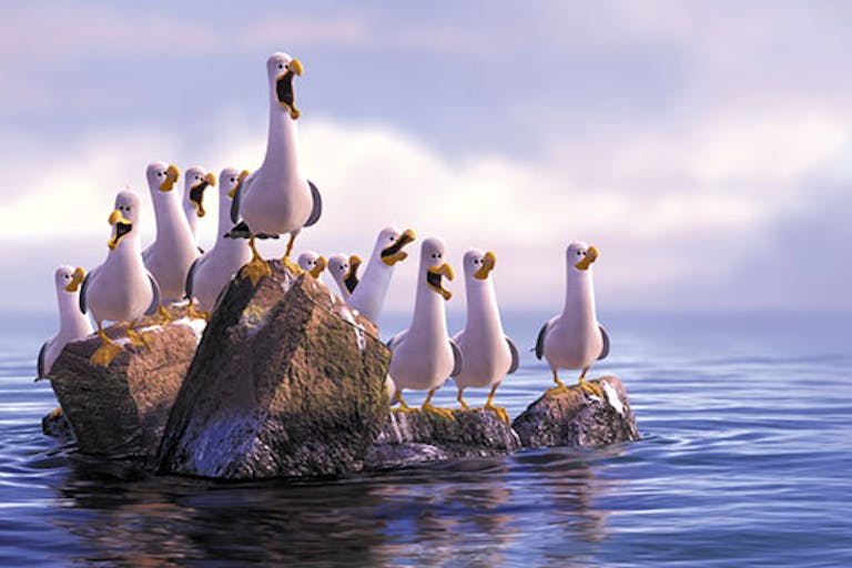 disney_problems_finding-nemo_seagulls