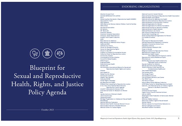 Abortion Manifesto Blueprint for Sexual and Reproductive Health released October 2023 Abortion Manifesto Blueprint for Sexual and Reproductive Health released October 2023