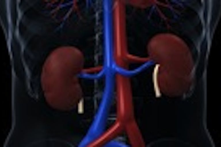 Human kidneys