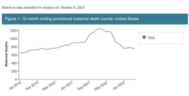 Screenshot CDC maternal mortality