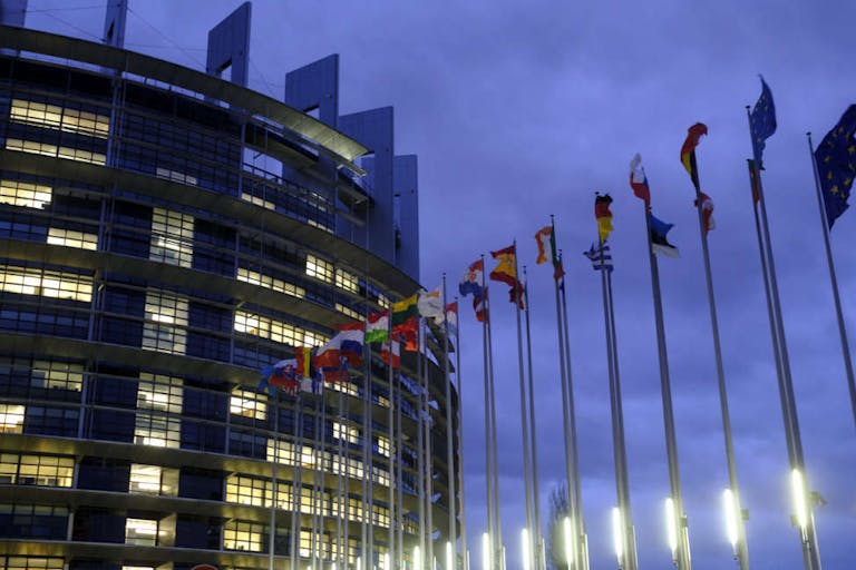 Doctors for Life, European Union, European Parliament, EU