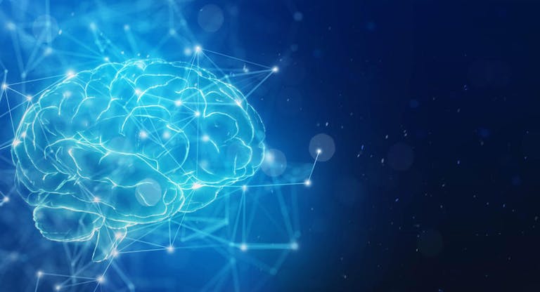 Brain and network