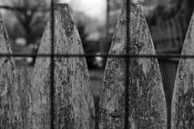 fence