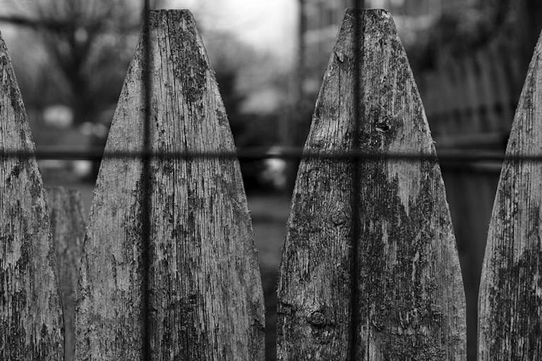 fence