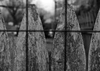 fence