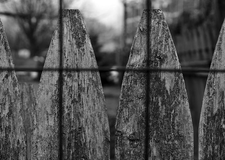 fence
