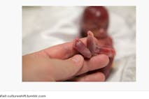 We're talking about real babies. Like this one.