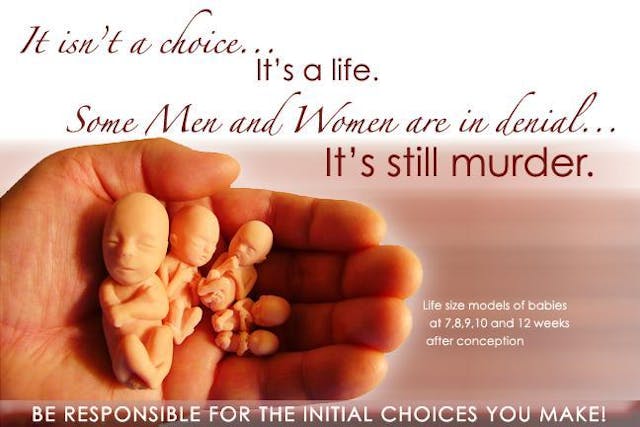 antichoicescreencaps:An anti-choice graphic.The misinformation in this graphic concerns me deeply. The size representations of the models do appear to be fairly accurate, but it may interest those that desire to take away the freedom of choice to learn that at seven weeks, an embryo (as it is still classified as one at seven weeks) has something that resembles a tail and little blobs for limbs. It does not have tiny, fully-formed features that resemble a newborn baby, as all of these models do. Despite the choice to use the word &#8220;baby&#8221;, none of these models are of babies; they are all of embryos and fetuses. This graphic is clearly designed to appeal to vulnerable womens&#8217; emotions in order to persuade them to make choices based on someone else&#8217;s morals, and that is truly deplorable on the part of the creator of this image. Additionally, it is not possible to &#8216;murder&#8217; something that has yet to live. In a purely scientific sense, the fetus is &#8216;alive&#8217;, but it has not achieved personhood. It does not have any rights until it is born, and in the meantime, it is residing in someone else&#8217;s uterus. The owner of the uterus in question is entirely within her rights to terminate her pregnancy if she does not want to allow a fetus to use her body for nine months. Be responsible for the choices you make; be sure to fully explore all of your options in regards to reproductive healthcare and choose the one that is best for you, and before you decide to tell someone else what to choose, consider that you have no authority over their body. A culture of choice is a culture of love, where human beings can respect one another even if they do not personally agree with each others&#8217; life choices. Instead of utilizing manipulation to force women into situations they do not want to be in, embrace your fellow living, sentient human beings and show your love by always putting them first.