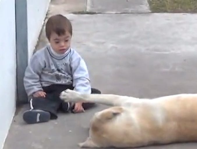dog-boy-downs