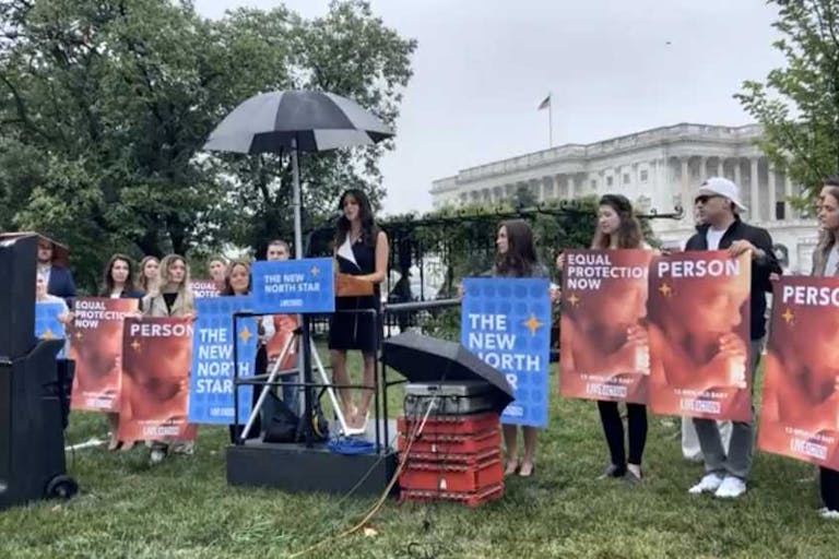 Live Action press conference new North Star