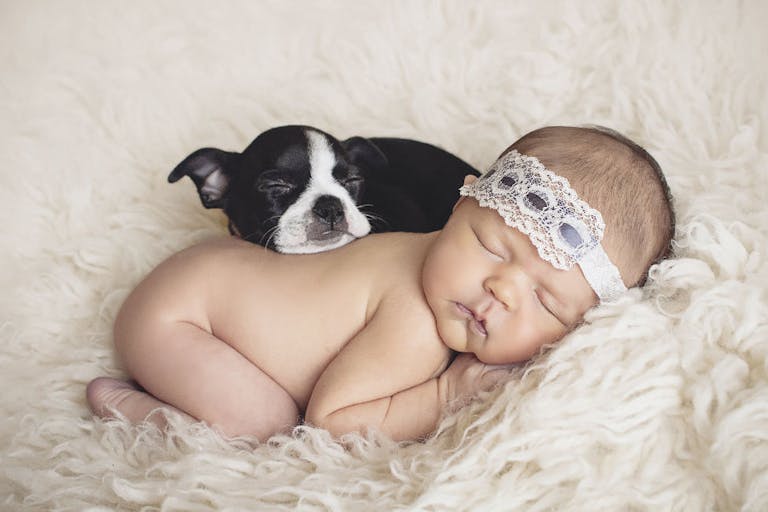 Naked newborn baby girl and puppy sleeping on rug