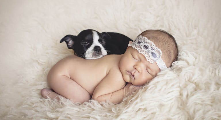 Naked newborn baby girl and puppy sleeping on rug