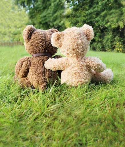 teddybears2