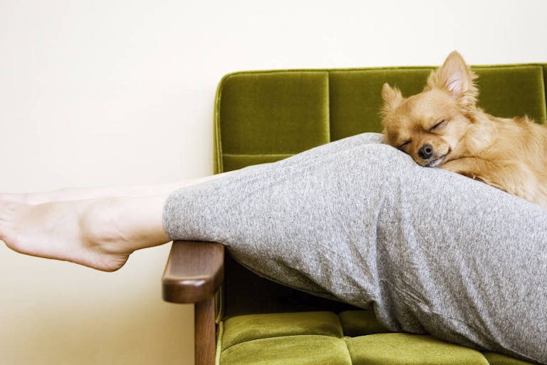 woman and dog in the room