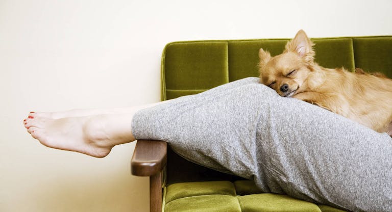 woman and dog in the room