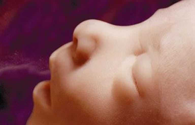 unbornbaby16w-02 (1)