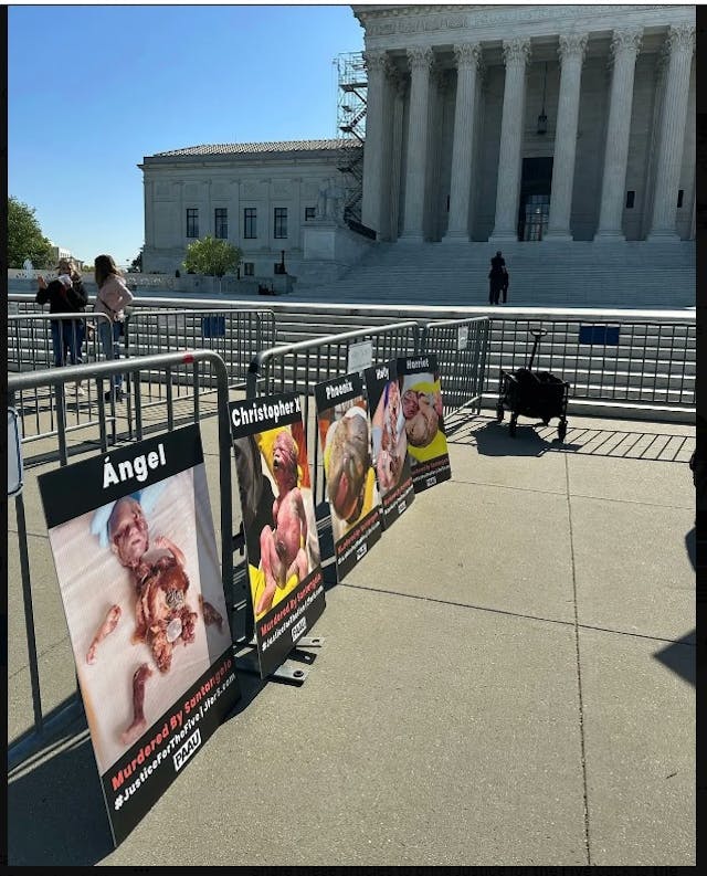 The Five outside SCOTUS (Image credit: PAAU) Image: The Five outside SCOTUS (Image credit: PAAU)