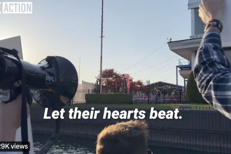 live action activism