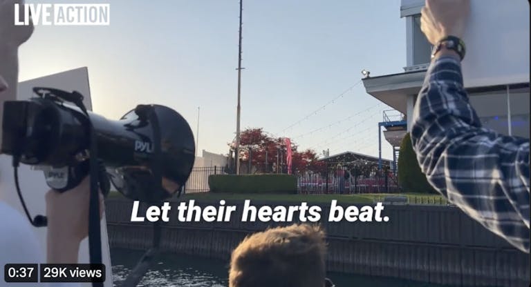 live action activism