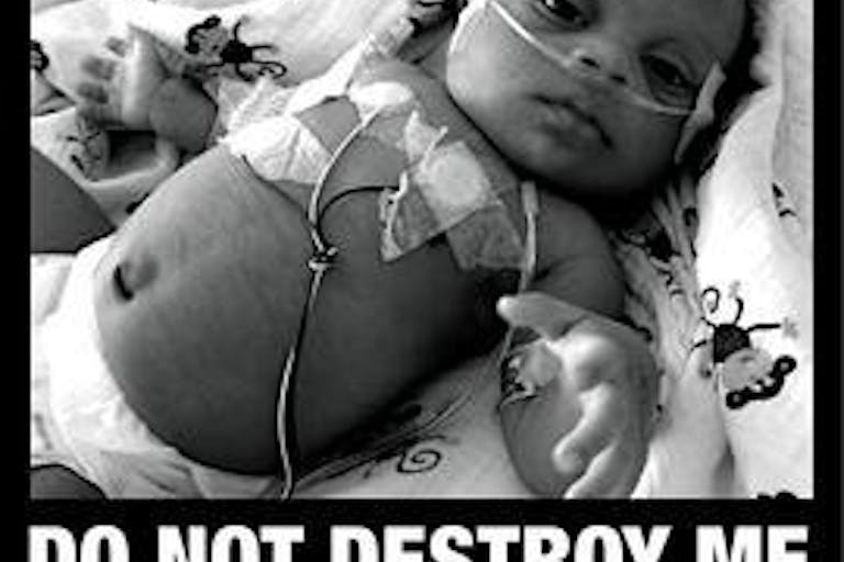 please-dont-destroy-me