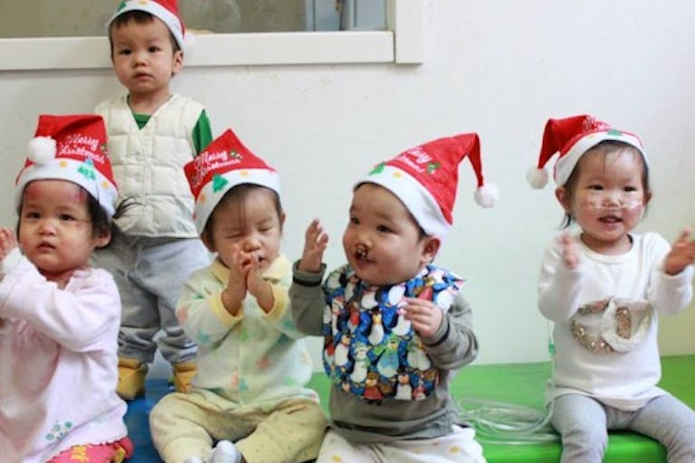 china-little-flowers