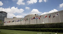 Flags and concrete building above grass and shrubs