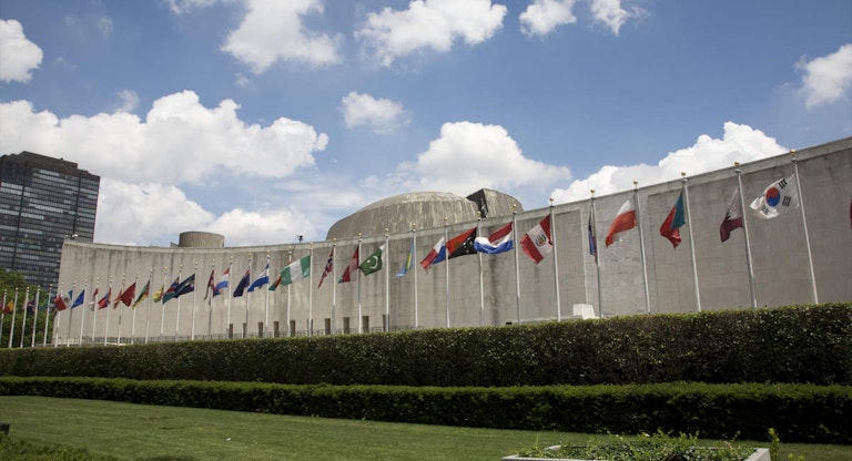 Flags and concrete building above grass and shrubs