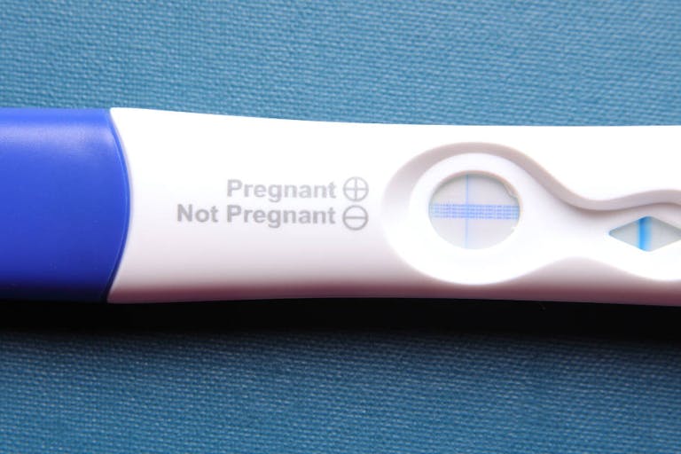 pregnancy