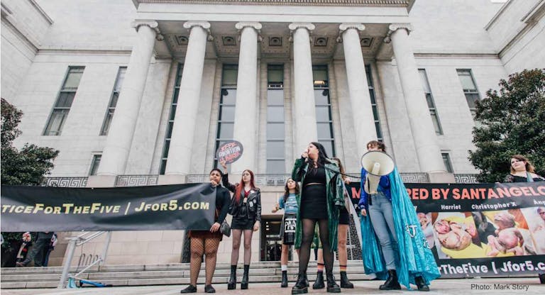 PAAU protest Mark Story