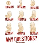 Human Human