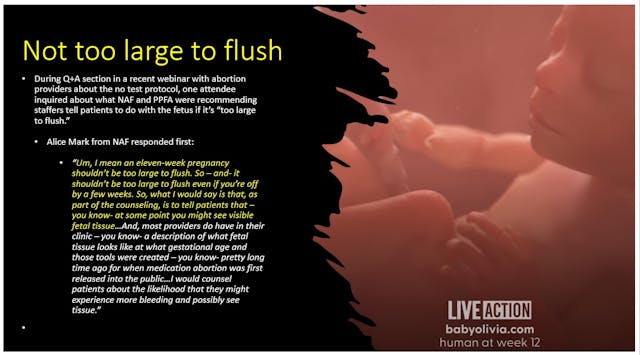 Image: Abortion proponents on babies too large to flush with at home DIY abortion pill
